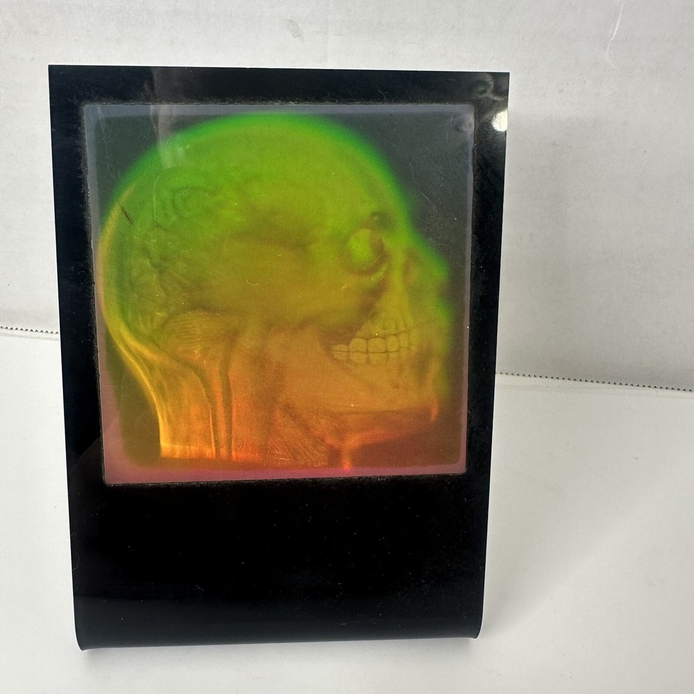 Vintage 1994 Lightrix 3D Human Brain Skull Hologram Stand Collectible USA Made